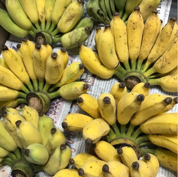 “ทูลกระหม่อม” ทรงขอบใจ “สรยุทธ์” ส่งกล้วยมาถวาย