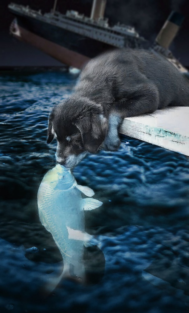 ฮาไม่มีหยุด!!! ชอตหมาจูบปลา ถูกตัดต่อกลายเป็นความฮาระดับโลก