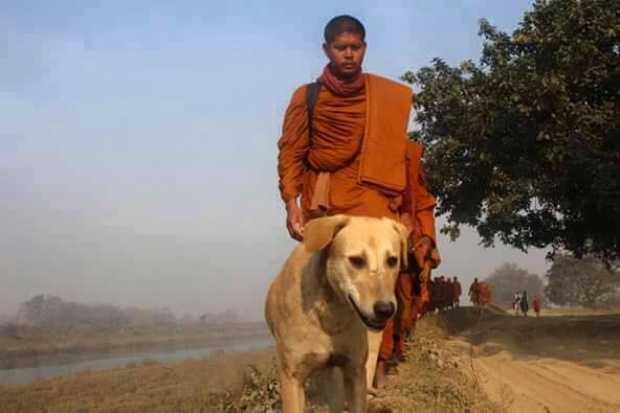 สุดซึ้ง! เจ้าโส สุนัขข้างทางวิ่งติดตามพระธุดงค์ไทยในอินเดีย