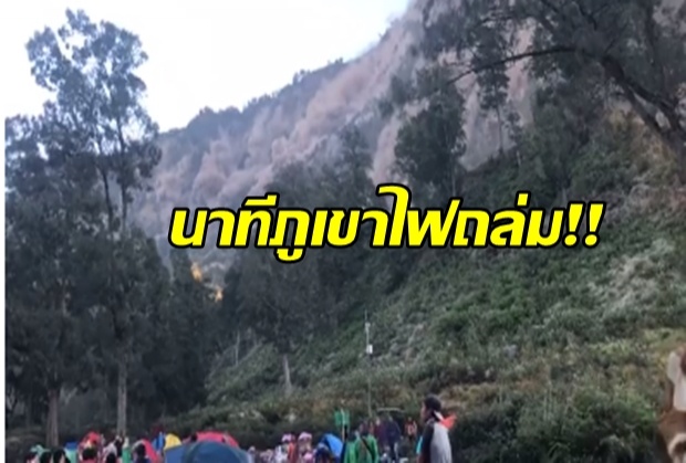 เปิดคลิปนาทีแผ่นดินไหว เกาะลอมบอก ภูเขาทั้งลูกดินถล่ม คนไทยหนีระทึก