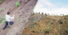 หนุ่มใช้เวลา30ปี ทุ่มเงิน200ล้าน ปลูกต้นไม้3แสนต้น จากภูเขากองขยะ ปัจจุบันเป็นแบบนี้? 