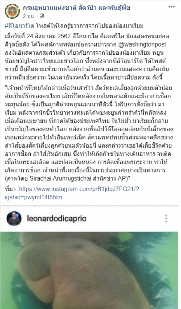 ลีโอนาร์โด โพสต์ให้โลกรู้ ข่าวการจากไปของ​น้องมาเรียม ขวัญใจชาวไทย