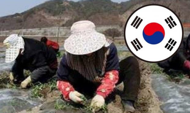 จวกเละ ผีน้อยเกาหลีอวดเมนูเด็ด ล่ากวางทำซกเล็ก กินดิบไม่กลัวเชื้อโรค ทำอายทั้งประเทศ!