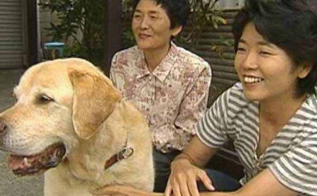 สุนัขนำทางคนตาบอด ไม่ได้เจอเจ้านายมา 11 ปี มาดูกันว่าทั้งสองยังจะจำกันได้ไหม? (มีคลิป)
