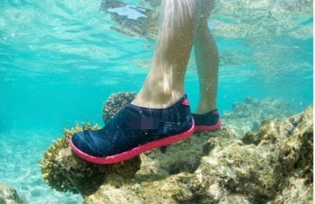 เหยียบปะการัง ก็เหมือนเหยียบย่ำหัวใจคนรักษ์ทะเล รองอธิบดี ชี้ ผิดกฏหมาย!!