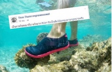 เหยียบปะการัง ก็เหมือนเหยียบย่ำหัวใจคนรักษ์ทะเล รองอธิบดี ชี้ ผิดกฏหมาย!!