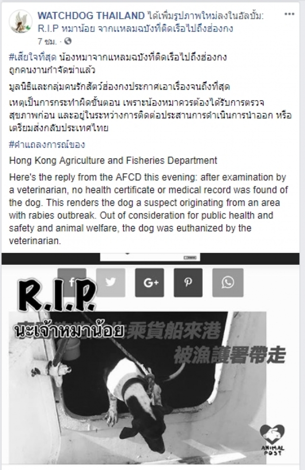 สุดสะเทือนใจ สุนัขไทยติดเรือไปฮ่องกง ล่าสุดโดนฆ่า!!