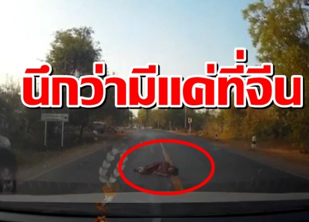 เมืองไทยก็มีหรอ! ผู้หญิงนอนขวางกลางถนน หวังให้รถชน (มีคลิป)