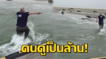 ไม่กลัวตาย!! ชายหนุ่ม รีบกระโดดลงทะเล พุ่งตัวไปบน ชายหาด เพื่อทำบางอย่างกับแมวน้ำ!! (คลิป)