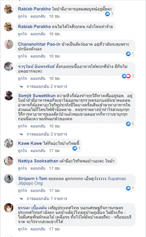 สุดฉลาด! ช้างป่าเขาใหญ่ เนียนแฝงตัวลงน้ำ เข้าสวนผลไม้ชาวบ้าน