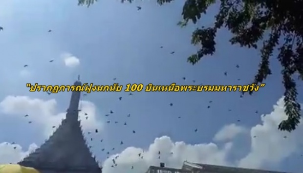 ชาวไทยแปลกใจ!!“ปรากฏการณ์ฝูงนกนับ 100 บินเหนือพระบรมมหาราชวัง”