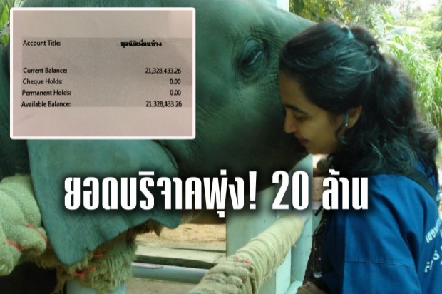 มูลนิธิช้างไทยรอด! ยอดบริจาคทะลัก 20 ล้าน “โซไรดา”โพสต์ ขอบคุณปชช.มีเมตตา