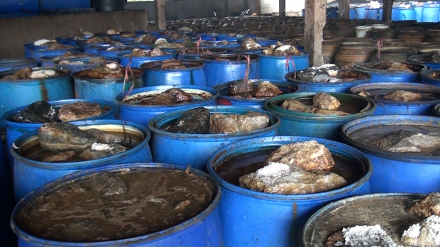 ช็อกมาก! เผยผลสำรวจพยาธิในปลาร้า-ปลาส้ม จาก 73 ตลาด