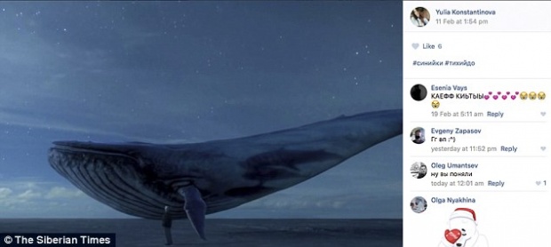 รู้จัก “วาฬสีน้ำเงิน” เกมลึกลับ ที่อยู่เบื้องหลังการฆ่าตัวตายของวัยรุ่นรัสเซียกว่า 100 คน!!