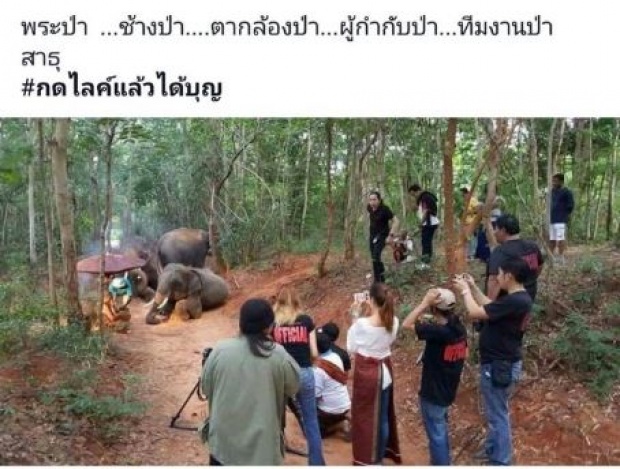 ศรัทธาหาย!! เมื่อภาพดัง “ช้างหมอบกราบพระป่า” โดนแฉเบื้องหลัง