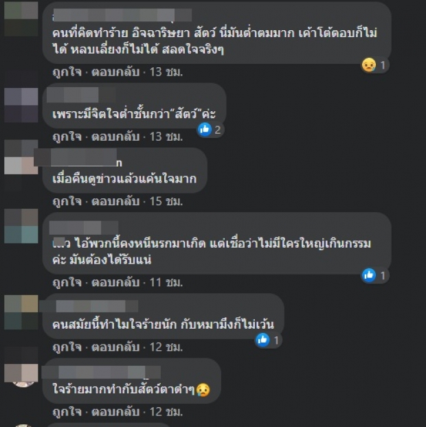 ‘ป๋ากิ๊ก’ เดือด! ถามหาเหตุผลคนทำ-ร่วมลงชื่อคืนความเป็นธรรม