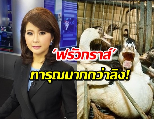  ‘ต๊ะ นรากร’ ลั่น หากแบนมะพร้าวของไทย ต้องแบนฟรัวกราส์ด้วย 