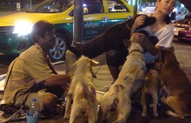 ชื่นชมคนดี! ขอทานนำเงินที่ได้รักษาหมาจอนจัดที่ถูกรถชน หวังหมาปลอดภัย