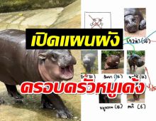 รู้แล้วจะอึ้ง หมูเด้งเป็นลูกใคร? สมาชิกครอบครัวใหญ่อบอุ๊นอบอุ่น