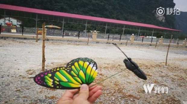 ตลกร้ายอีกเจ้า สวนสัตว์จีนเชิญชม “ผีเสื้อหมื่นตัว” เข้าไปเจอปีกพลาสติก!!