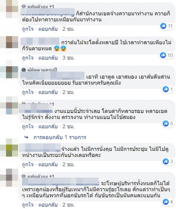 โซเชียลวิจารณ์หนัก! เทปูดปิดโคนต้นไม้ ลั่น ทำเเบบนี้ตายเเน่นอน