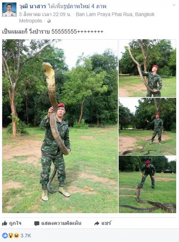 ฮือฮา!! ทหารหนุ่มโชว์จับจงอางยักษ์ 4 เมตร ด้วยมือเปล่า!