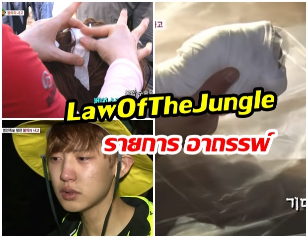 โซเชียลลงความเห็น! LawOfTheJungle รายการอาถรรพ์ ใครไปเจ็บตัวกลับมาทุกราย?