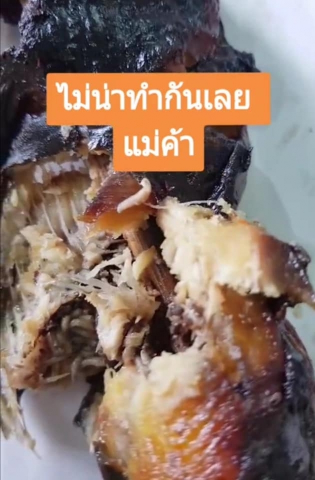 ปลาดุกย่างแสนอร่อย ไหงมีกลิ่นเน่า แกะดูเท่านั้นแหละ อ้วกแทบพุ่ง!