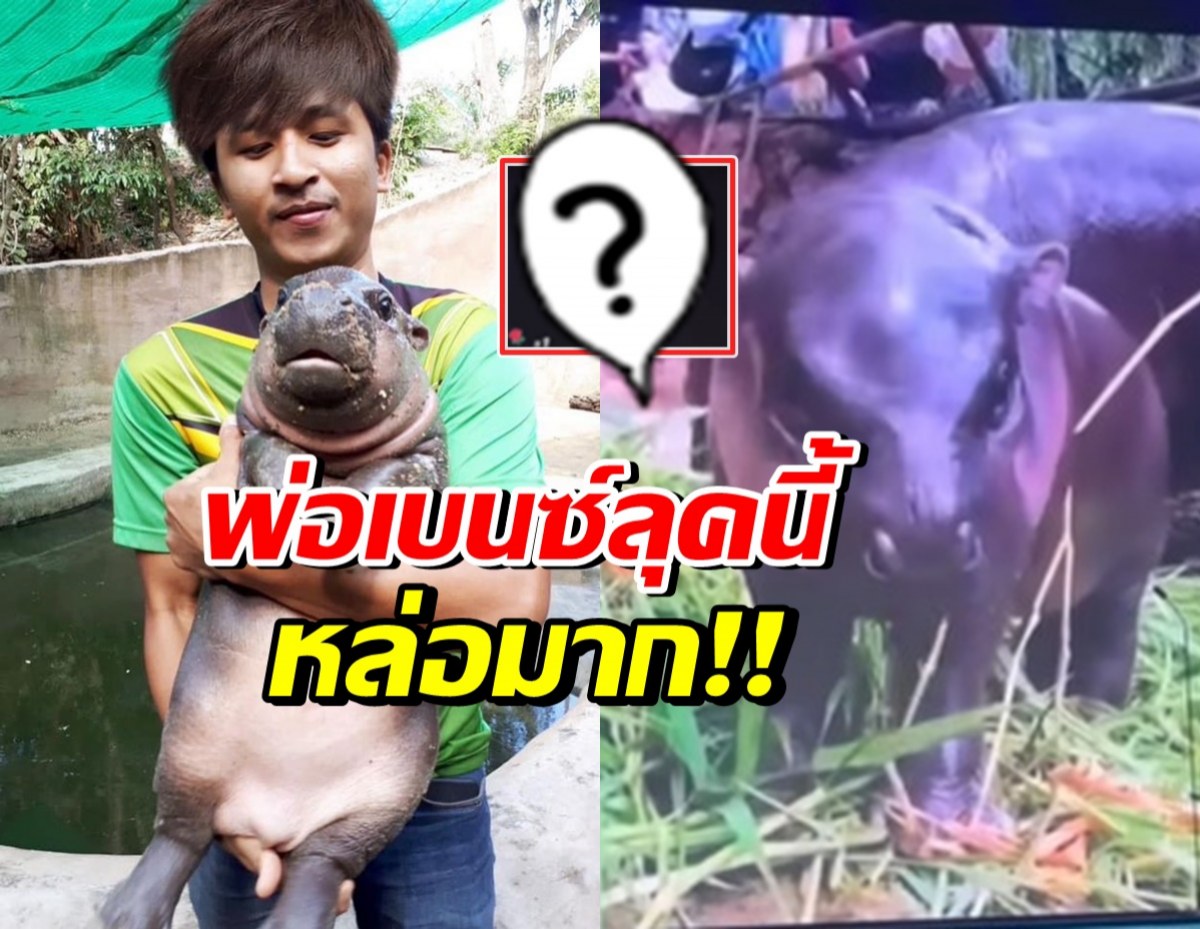 ส่องลุค คุณพ่อเบนซ์ อุ้มหมูเด้ง รับรางวัลทรงคุณค่า