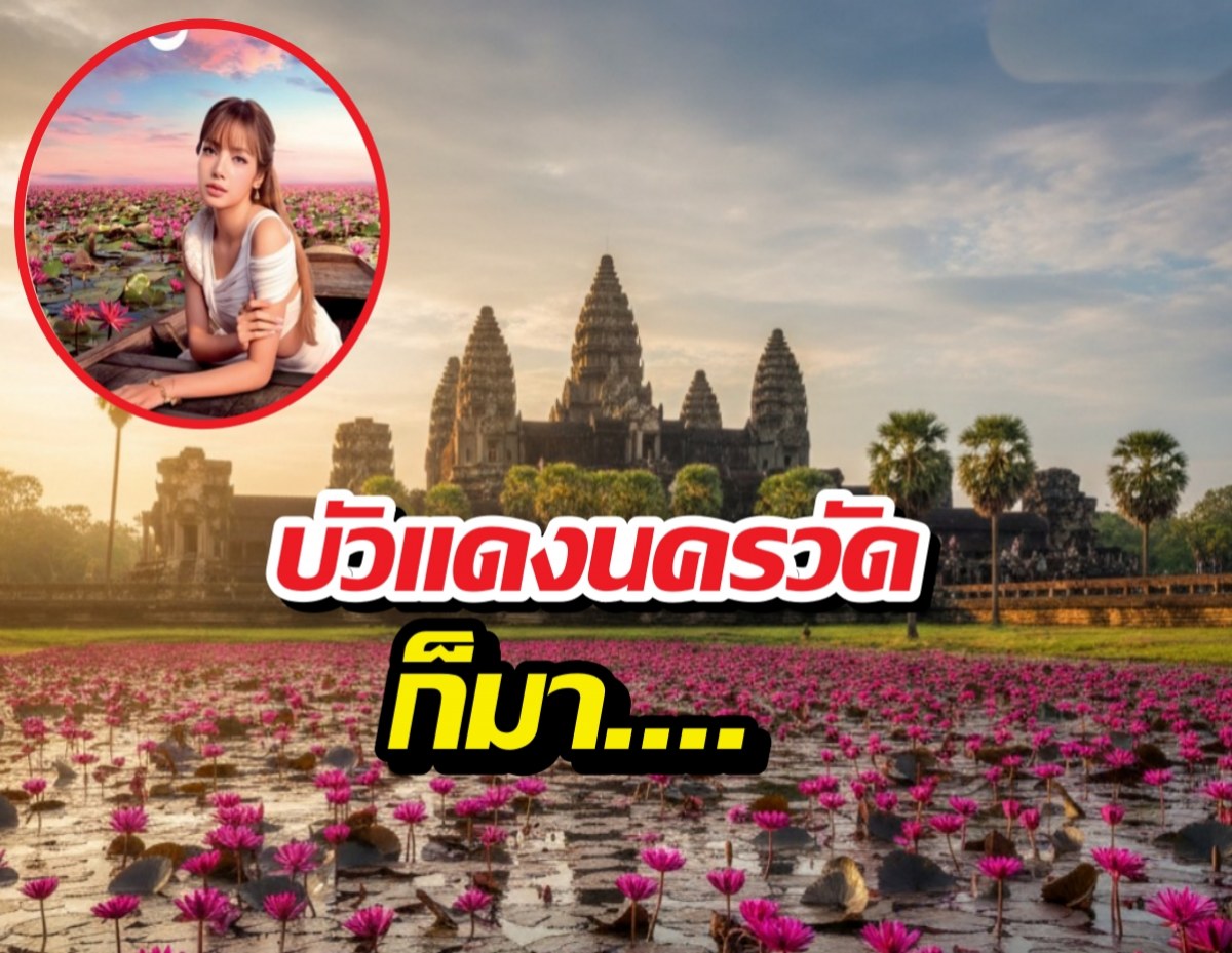 เขมรเอาจริง! ผุดทะเลบัวแดง กลางนครวัด ท้าชิงบัวแดงลิซ่า