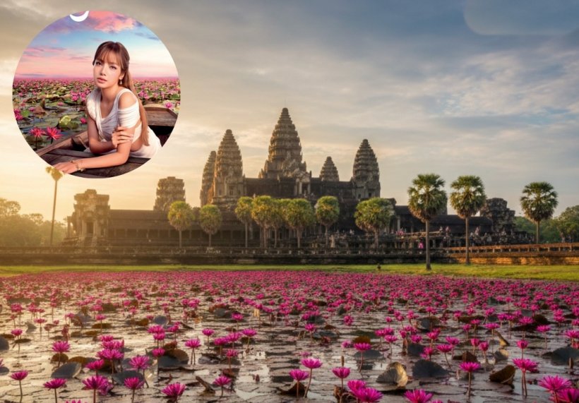 เขมรเอาจริง! ผุดทะเลบัวแดง กลางนครวัด ท้าชิงบัวแดงลิซ่า