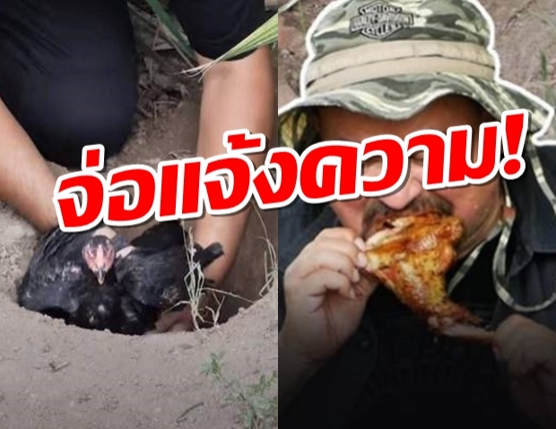 วอชด็อก จ่อแจ้งความคลิปเมนูไก่หลุม ทำทารุณฯสัตว์!