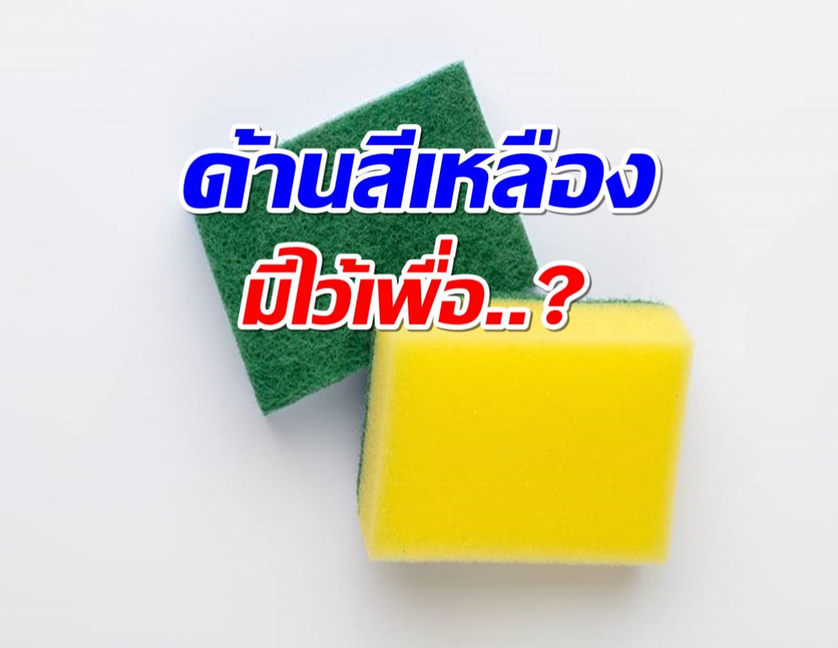 เลิกเถียงกัน! 3M ประกาศเเล้วด้านสีเหลือง ไม่ได้มีไว้ล้างจาน