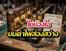 นักวิชาการ ปมคนไทยจ่ายค่าไฟส่องสว่าง พร้อมแนะ3แนวทาง