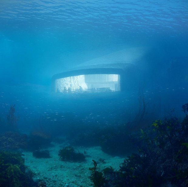 สุดยอด! นี่คือ ภัตตาคารใต้น้ำ ที่สามารถมองเห็นวิวใต้ทะเลรอบด้าน สวยงามจนเกินคำบรรยาย!