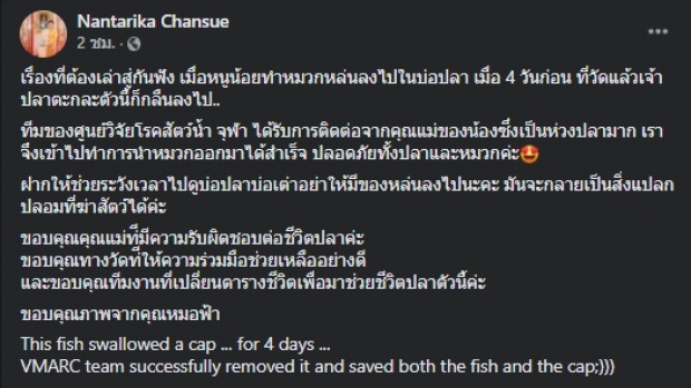 หนูน้อยทำของตกบ่อ ปลายักษ์กลืนลงท้อง ก่อนจะพบว่าเป็น..!?