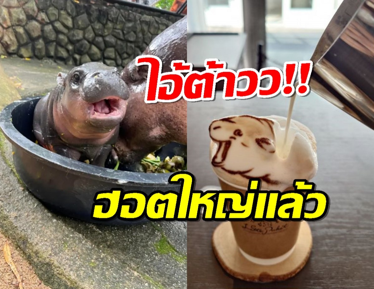 ความตัวตึงดังไกลถึงญี่ปุ่น ล่าสุด Latte art หมูเด้ง ก็มา!!