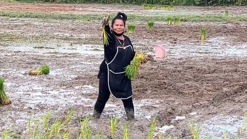 เผยชีวิต เจ๊อ๋อ 90ล้าน ปัจจุบันต้องมารับจ้างดำนาวันละ300