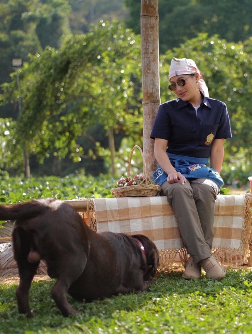 เจ้าฟ้าสิริวัณณวรี ทรงเผยโมเมนต์เรียบง่าย ชีวิตหนึ่งวันที่อ่างขาง