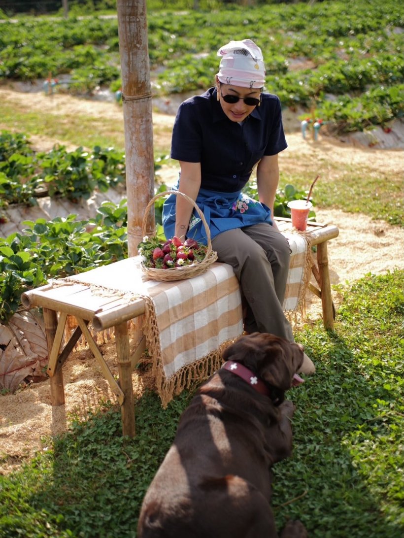 เจ้าฟ้าสิริวัณณวรี ทรงเผยโมเมนต์เรียบง่าย ชีวิตหนึ่งวันที่อ่างขาง
