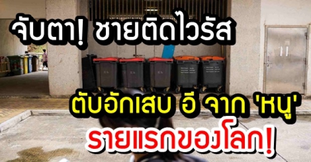 จับตา! ฮ่องกงพบชายติดไวรัสตับอักเสบ อี จาก “หนู” รายแรกของโลก?!