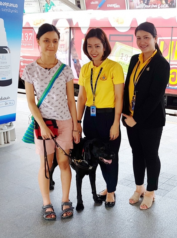 สาววอนองค์กรไทย ไม่กีดกัน คนตาบอดอาศัยสุนัขนำทาง