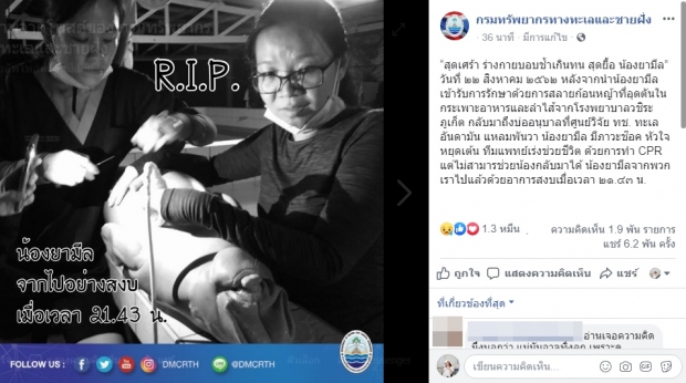 สุดเศร้า ร่างกายบอบช้ำเกินทน สุดยื้อพะยูนน้อย ยามีล 