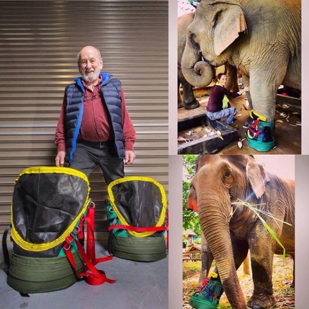 ช้างไทยเหยียบระเบิดขาเจ็บ ได้บูทข้างใหม่กิ๊บเก๋เท่ห์สุดๆ