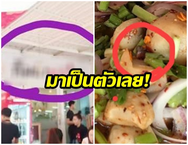 สาวตกใจ กิ้งกืออยู่ในลาบ พนักงานถาม“ตกมาจากข้างบนรึเปล่า?”