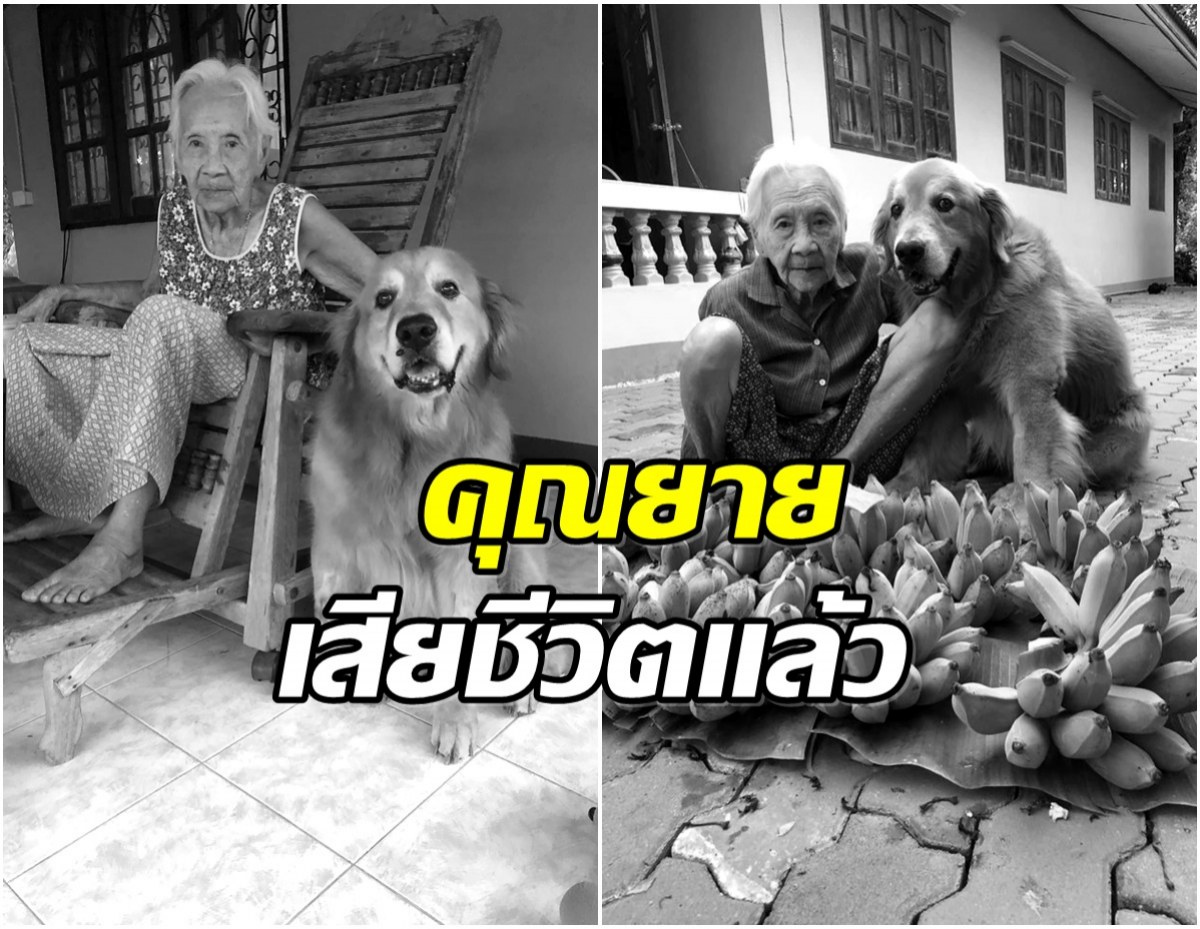 อาลัย คุณยาย จากเพจลีโอ ไอ้หนูของยาย เสียชีวิตกะทันหัน
