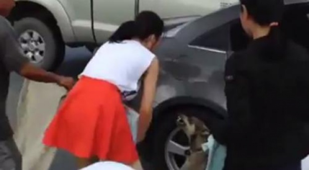 น้ำใจงาม ! นางเอกดังคนนี้ โดดลงจากรถช่วยเหลือหมานอนเจ็บกลางถนน แม้จะโดนหมากัดเลือดโชก
