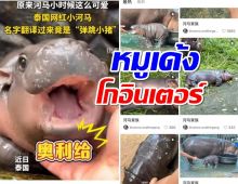 หมูเด้ง โกอินเตอร์ ทะลุถึงแผ่นดินใหญ่ แม่จีนโดนตกระนาว