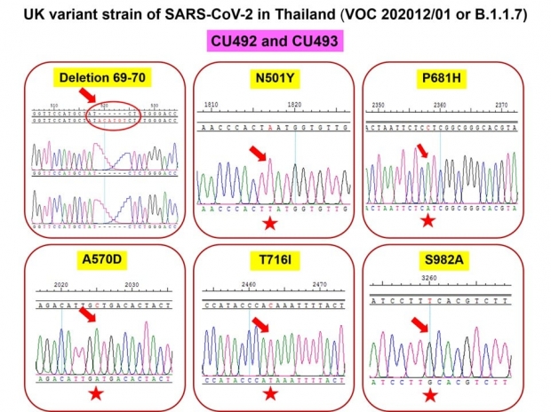 หมอยง เผย โควิด-19 สายพันธุ์อังกฤษกลายพันธุ์พบในไทยแล้ว