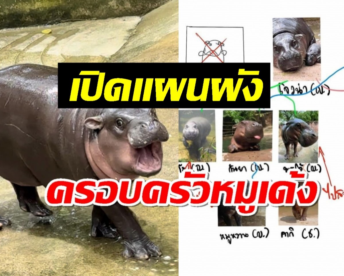 รู้แล้วจะอึ้ง หมูเด้งเป็นลูกใคร? สมาชิกครอบครัวใหญ่อบอุ๊นอบอุ่น